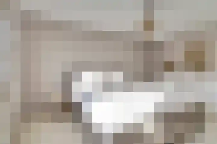 Looierstraat 7 Velp thumbnail 34