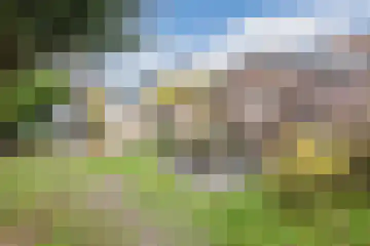 Looierstraat 7 Velp thumbnail 5