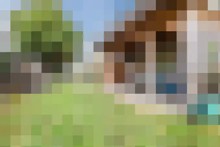 Looierstraat 7 Velp thumbnail 6