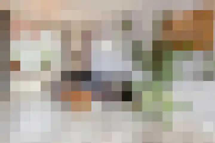 Looierstraat 7 Velp thumbnail 7