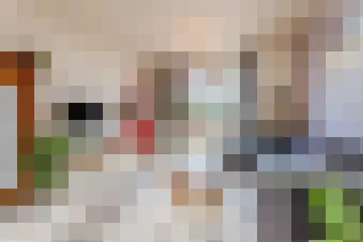 Looierstraat 7 Velp thumbnail 8