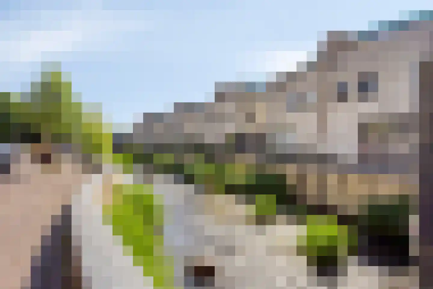 Looierstraat 79 Gulpen thumbnail 24