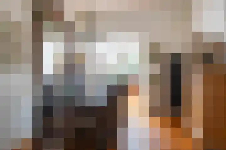 Looierstraat 8 Utrecht thumbnail 5