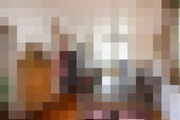 Looierstraat 8 Utrecht thumbnail 6