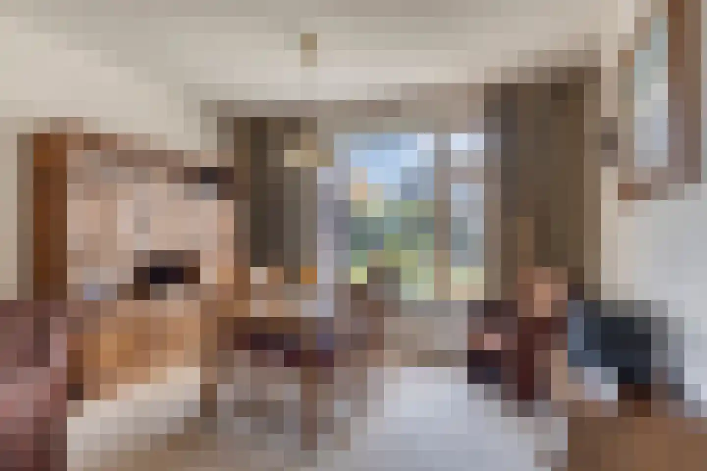 Looierstraat 9 Schaijk thumbnail 15