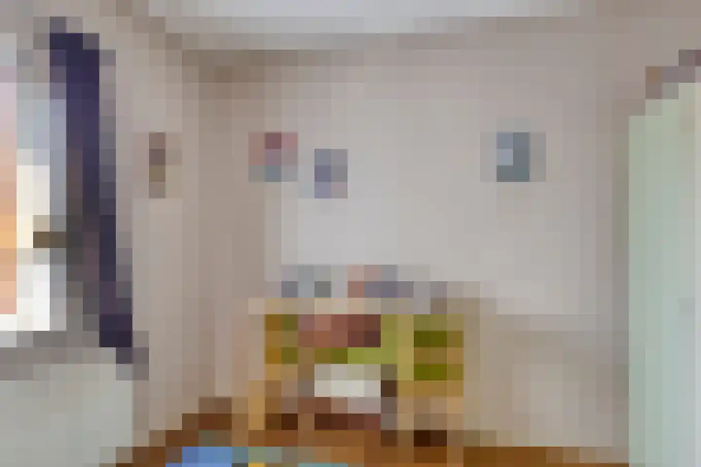 Looierstraat 9 Schaijk thumbnail 25