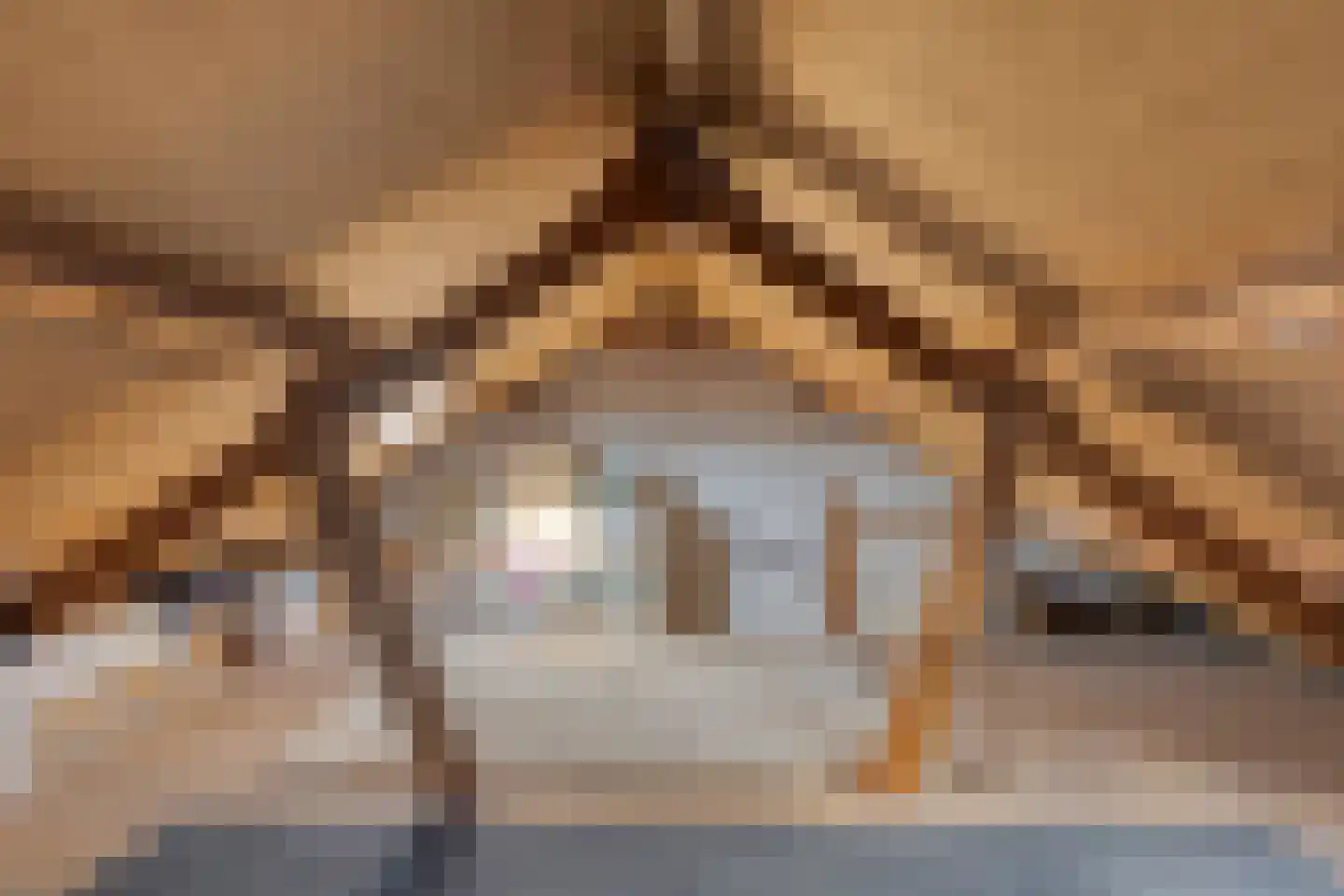 Looierstraat 9 Schaijk thumbnail 28