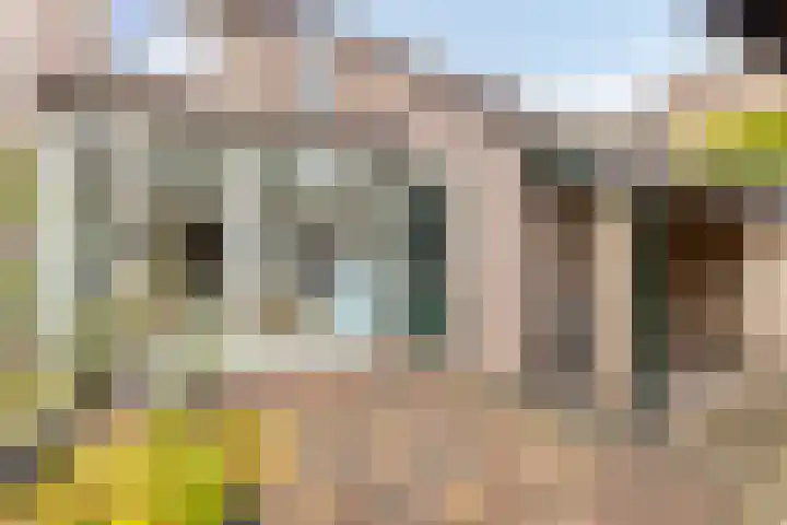 Looiersveld 12 Rijen thumbnail 37