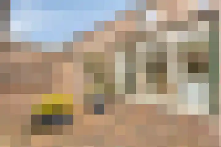 Looiersveld 12 Rijen thumbnail 38