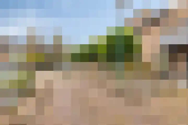 Looiersveld 12 Rijen thumbnail 4