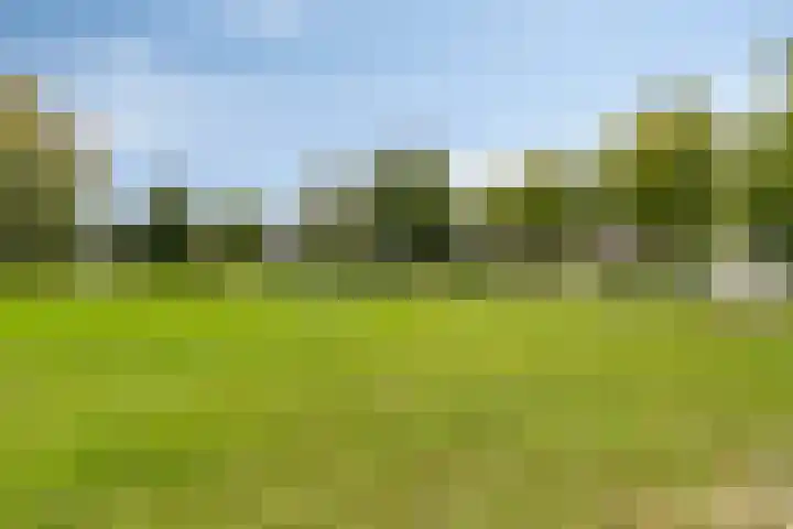 Looiersveld 12 Rijen thumbnail 48