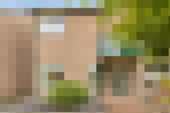 Looiersveld 12 Rijen thumbnail 49