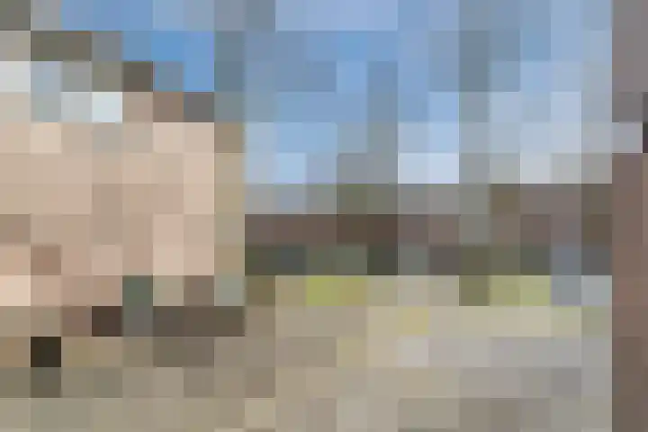 Looiersveld 22 Rijen thumbnail 33