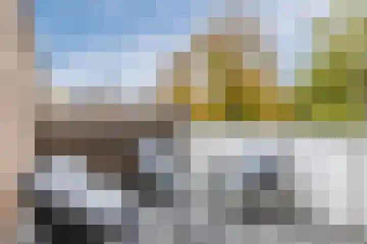 Looiersveld 24 Rijen thumbnail 18