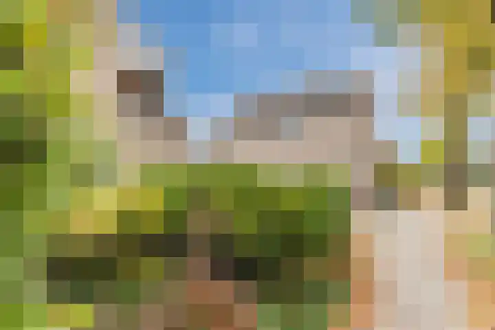 Looiersveld 24 Rijen thumbnail 22