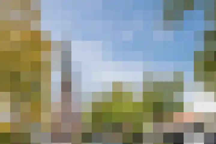 Looiersveld 24 Rijen thumbnail 23