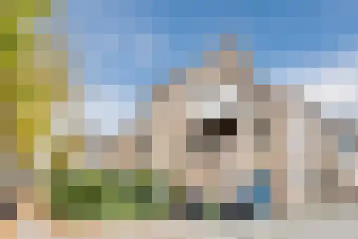 Looiersveld 24 Rijen thumbnail 24