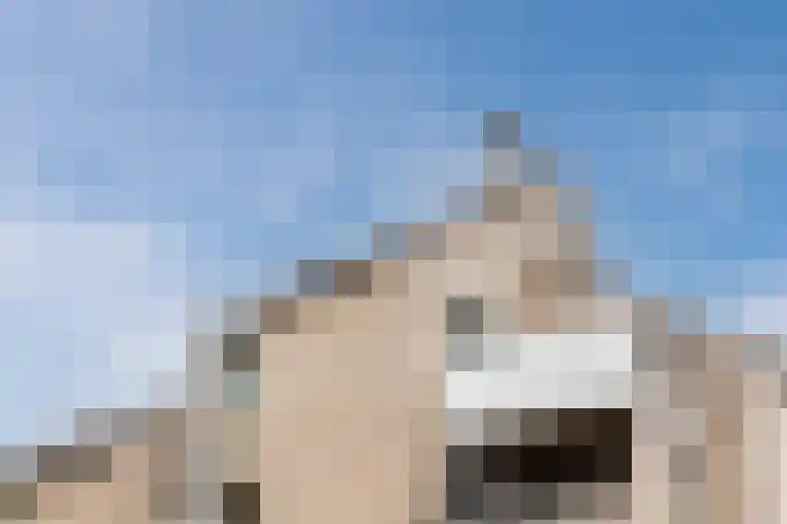 Looiersveld 24 Rijen thumbnail 27