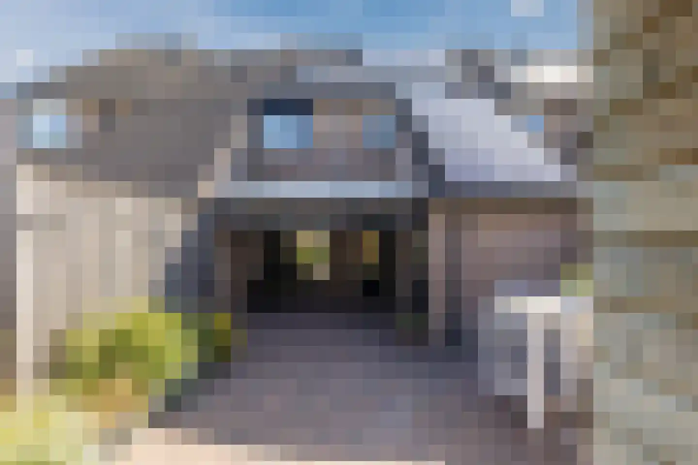 Looiersveld 44 Rijen thumbnail 23