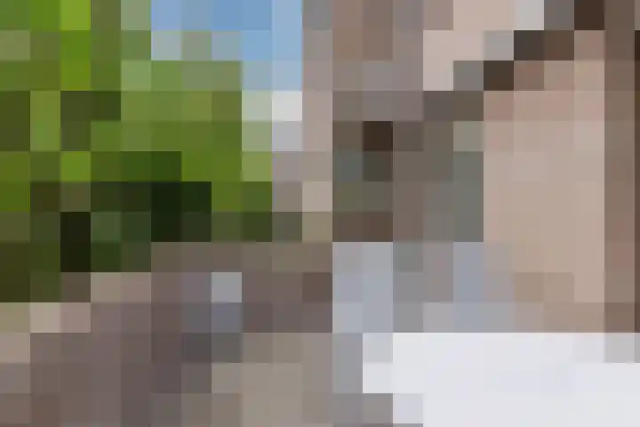 Looiersveld 54 Rijen thumbnail 16