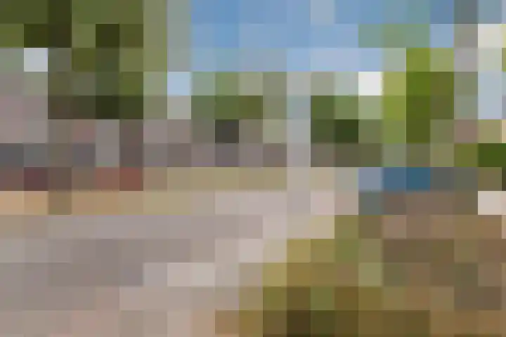 Looiersveld 54 Rijen thumbnail 18