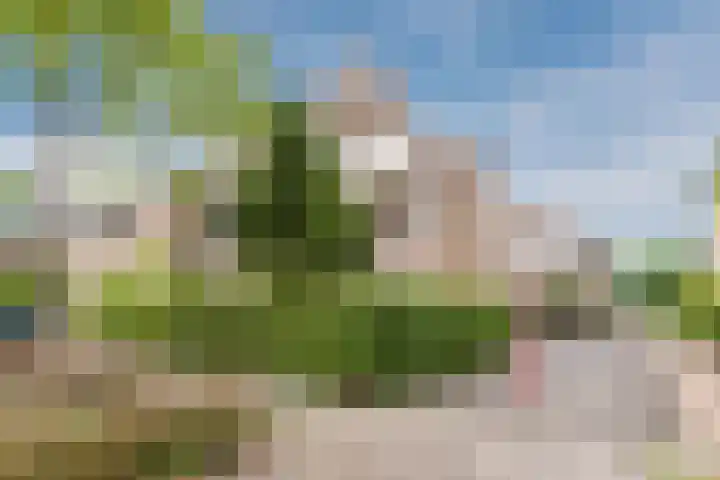 Looiersveld 54 Rijen thumbnail 19