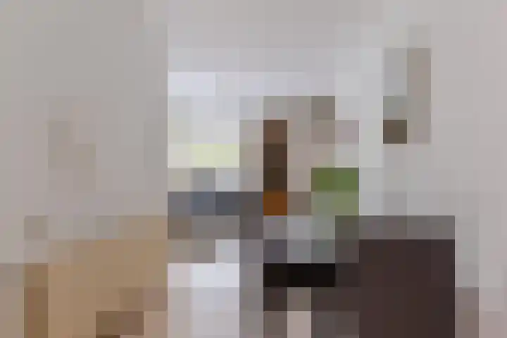 Looiersveld 54 Rijen thumbnail 9