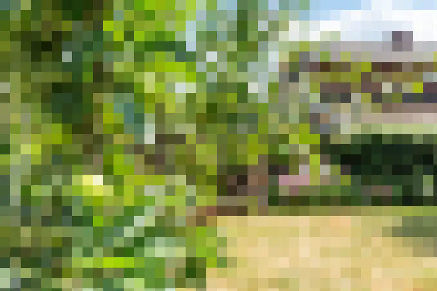 Looiersweg 32 Terborg thumbnail 41