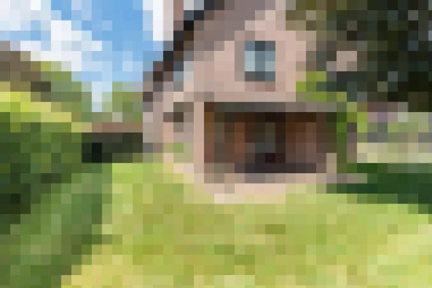 Looiersweg 32 Terborg thumbnail 42