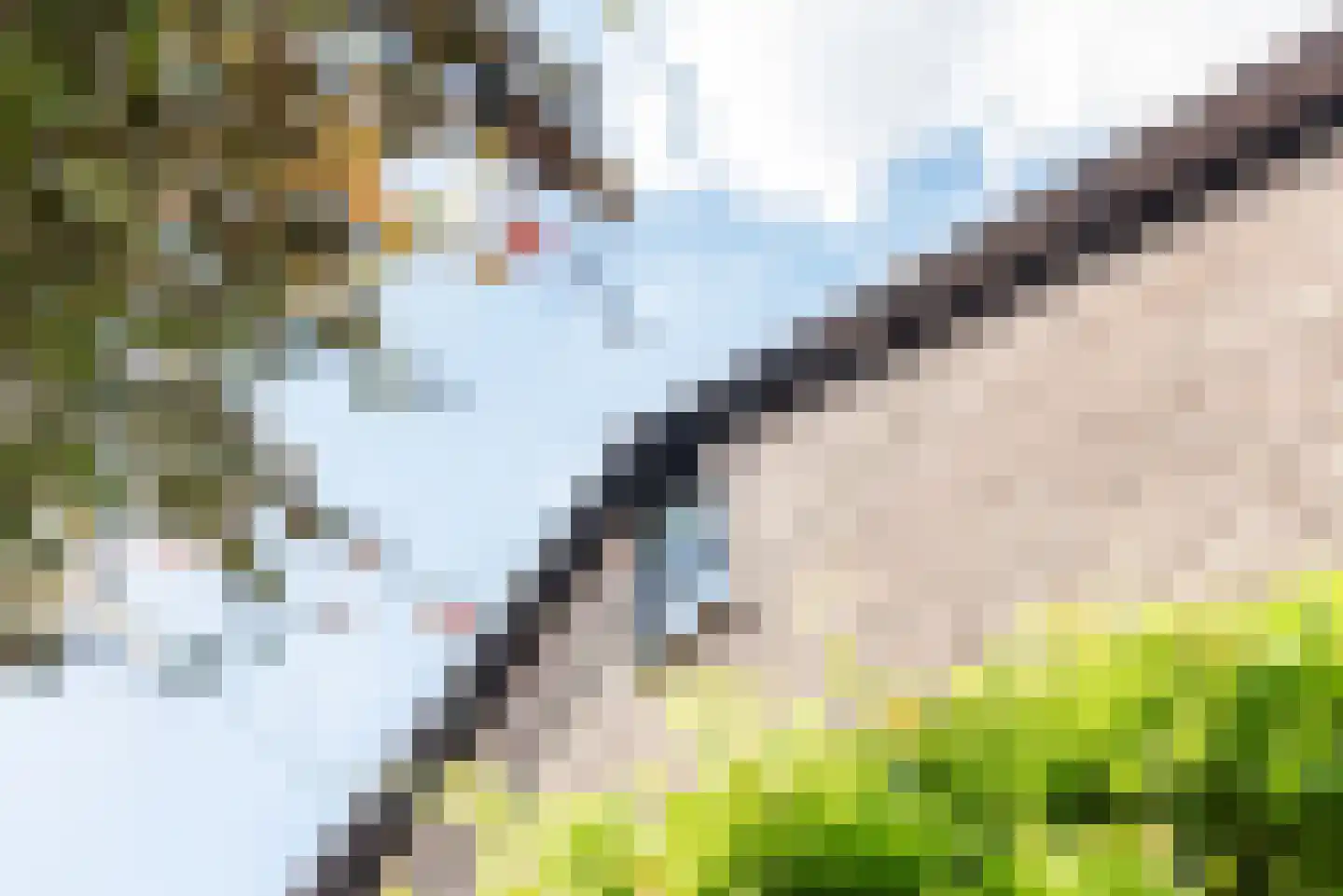 Looiersweg 32 Terborg thumbnail 43