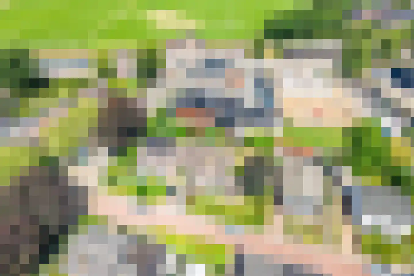 Looiersweg 32 Terborg thumbnail 47