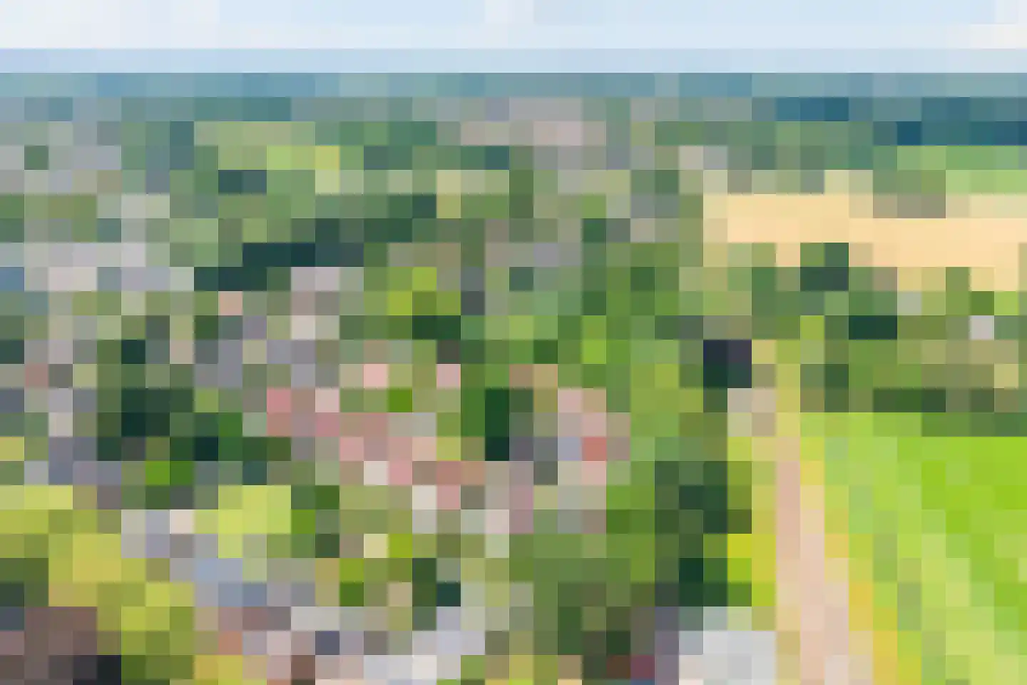 Looiersweg 32 Terborg thumbnail 48