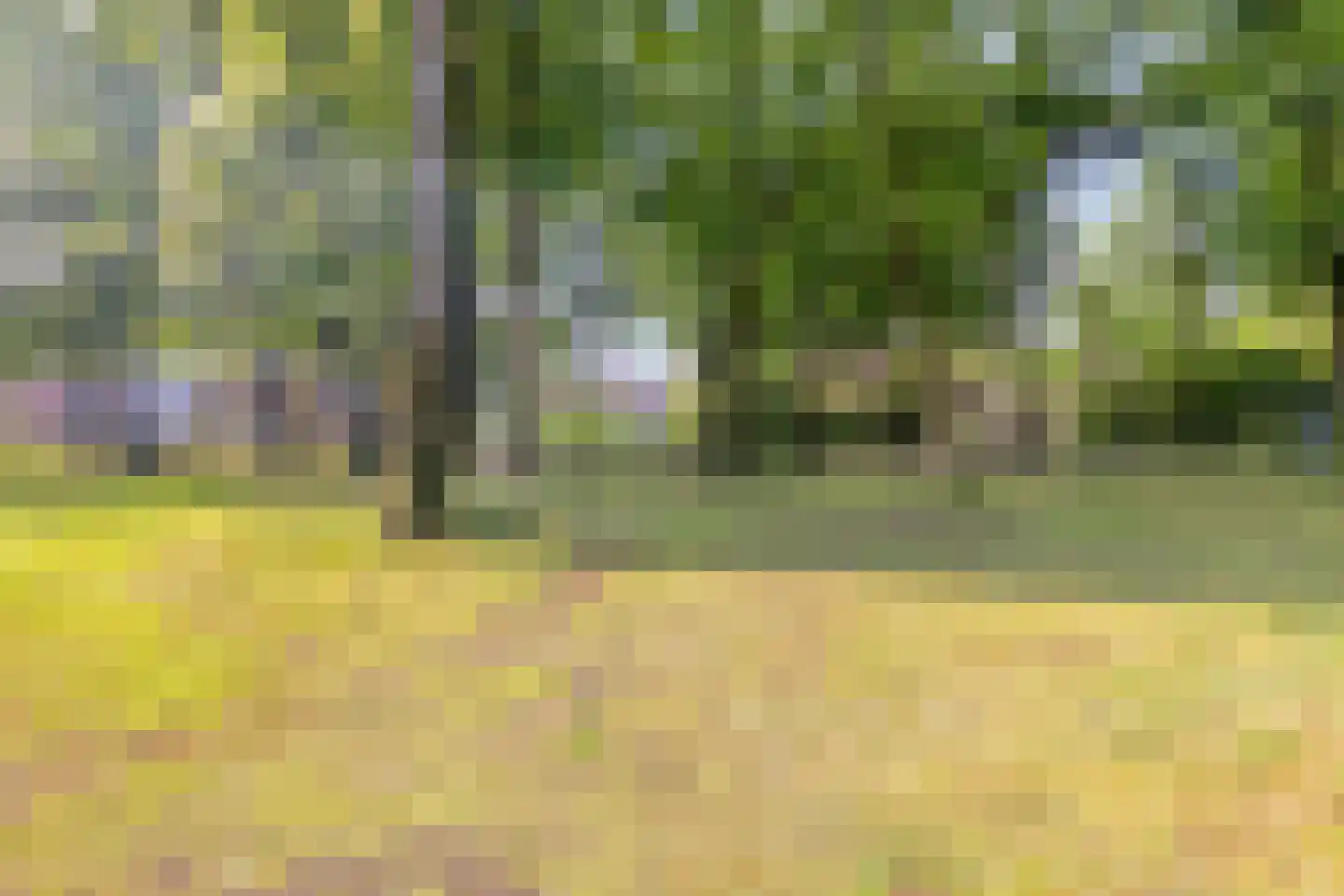 Looierwei 15 Valkenswaard thumbnail 38