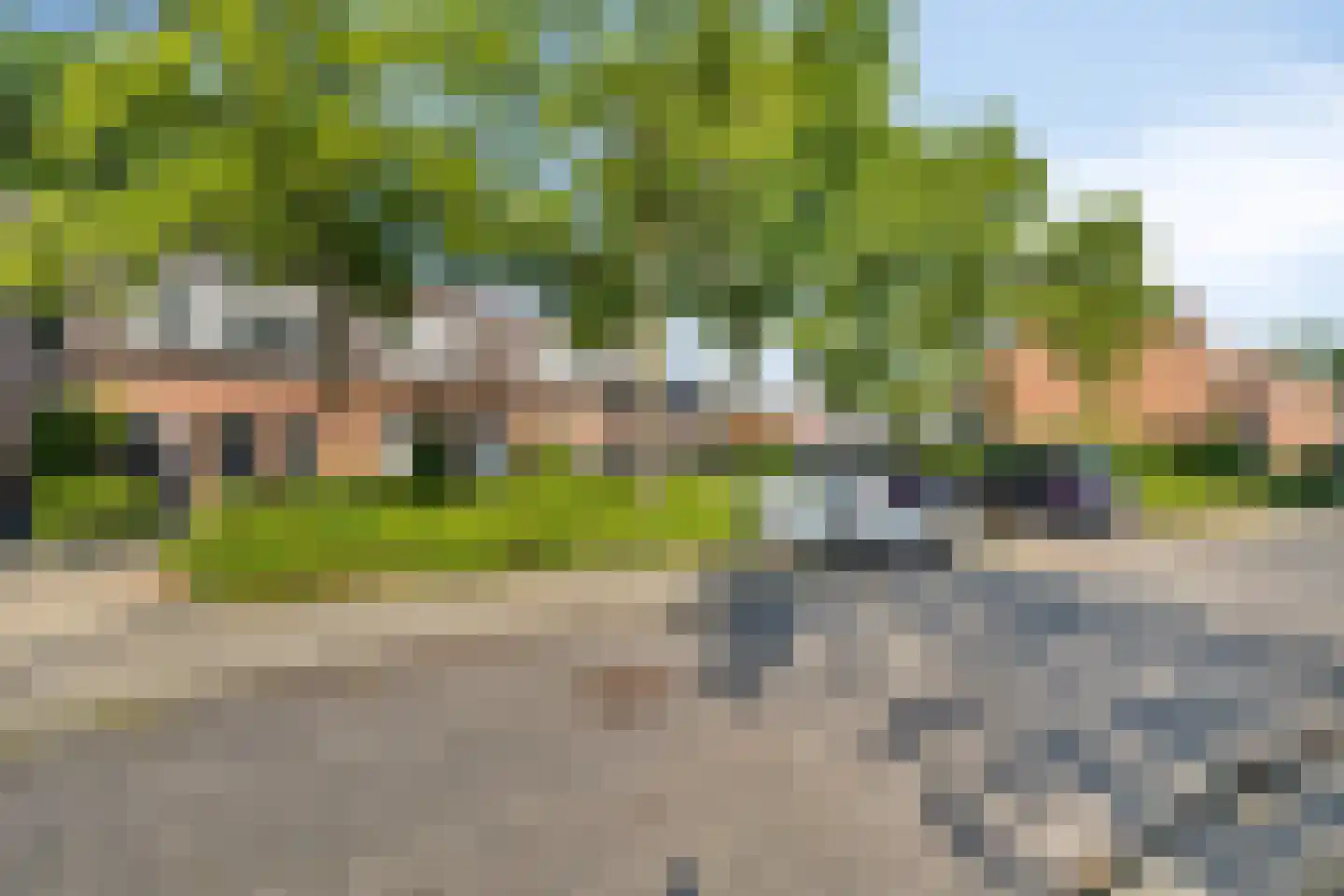 Looierwei 15 Valkenswaard thumbnail 4