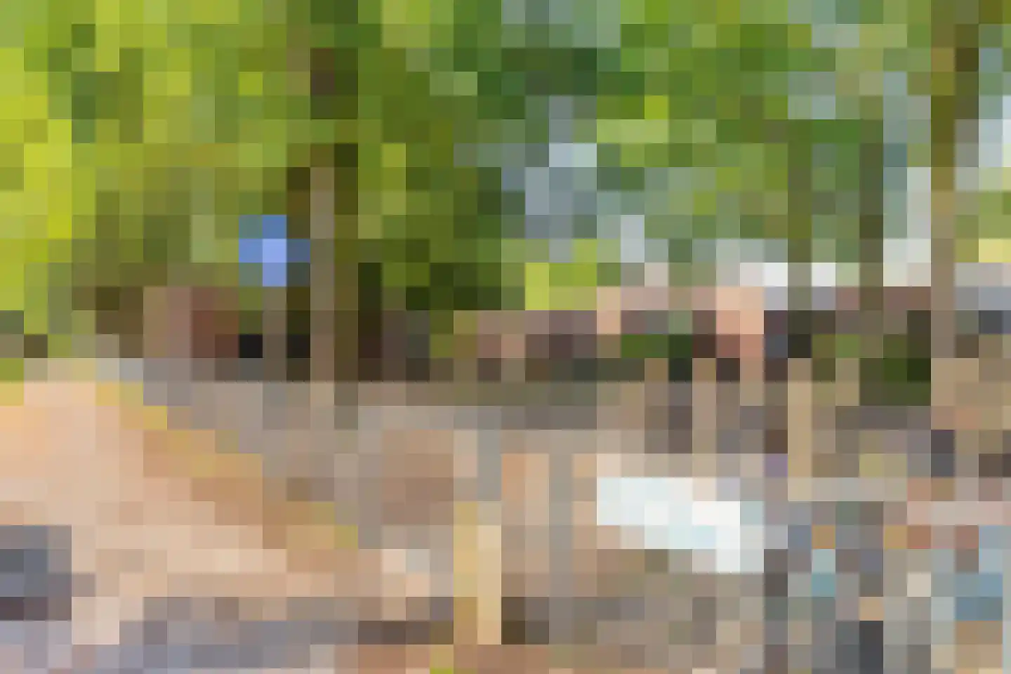 Looierwei 15 Valkenswaard thumbnail 41