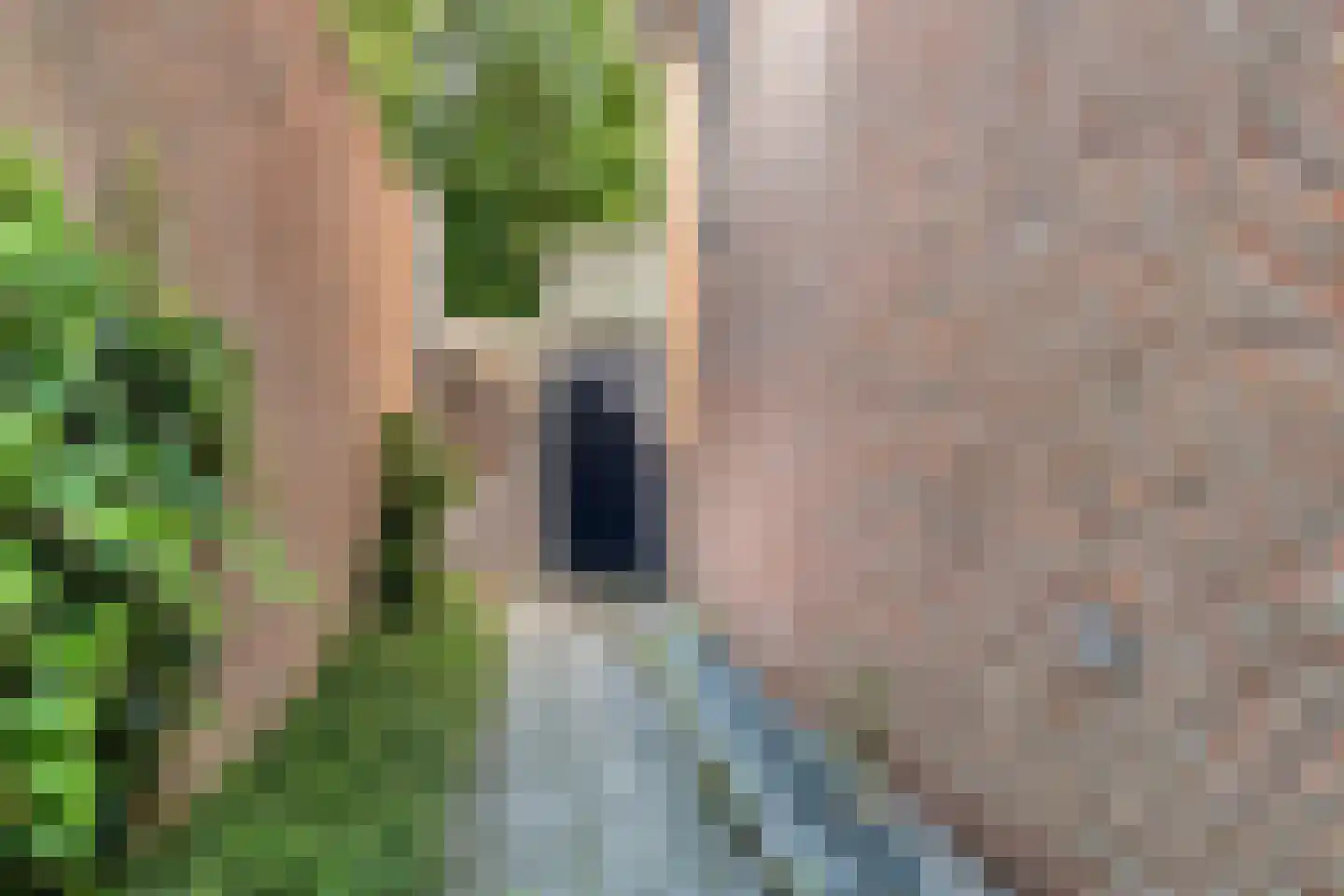 Looierwei 15 Valkenswaard thumbnail 6