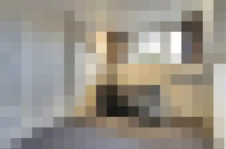 Looierwei 29 Valkenswaard thumbnail 33