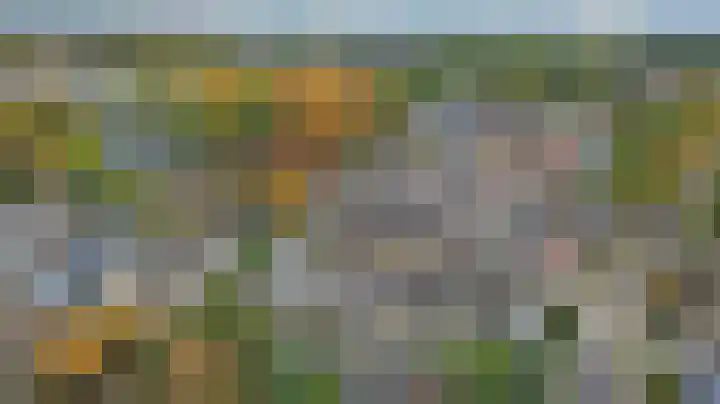 Looierwei 29 Valkenswaard thumbnail 4