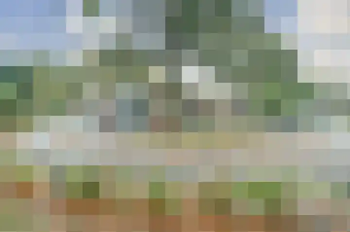 Looierwei 29 Valkenswaard thumbnail 45