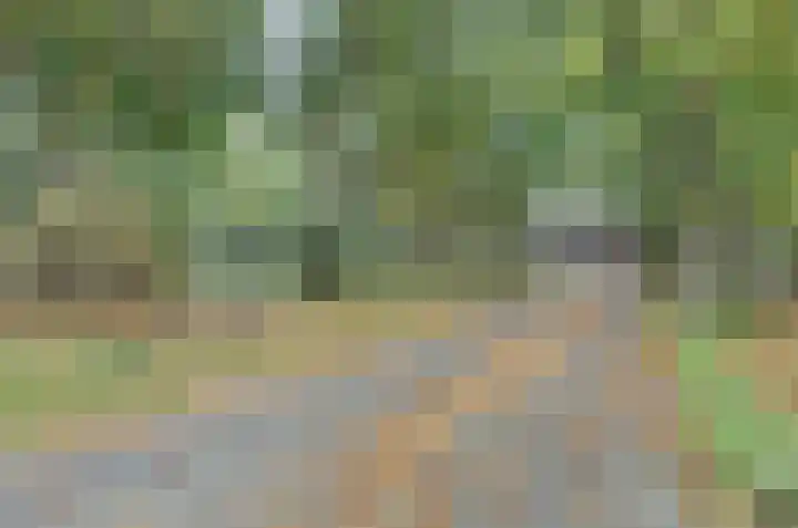 Looierwei 29 Valkenswaard thumbnail 46