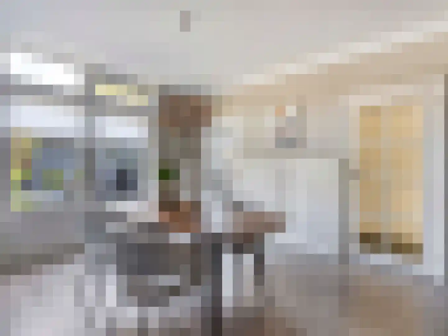Looijersdijk 14 Breukelen thumbnail 18