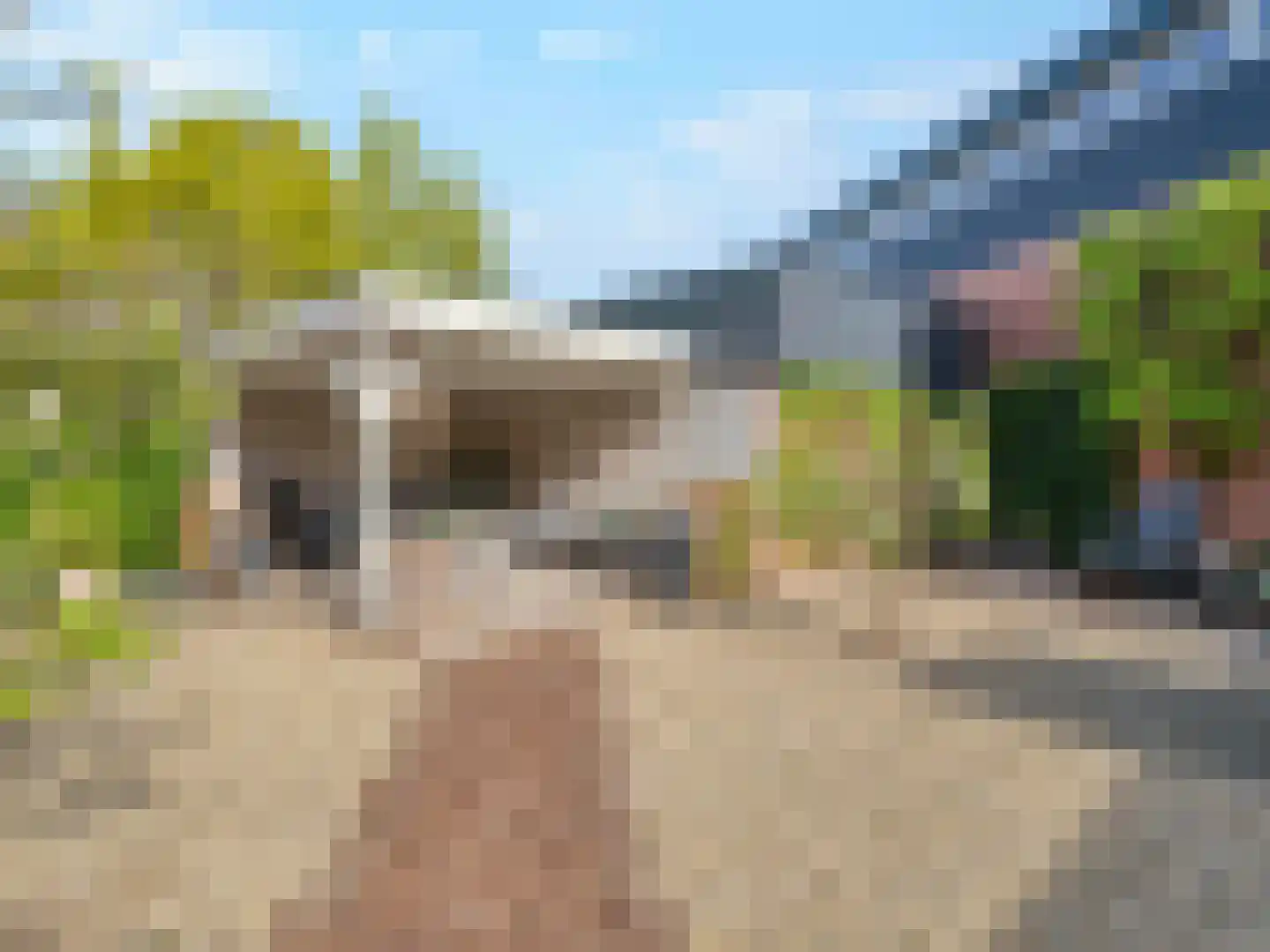 Looijersdijk 14 Breukelen thumbnail 38