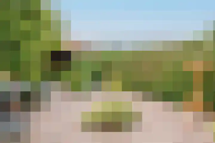 Looijersdijk 51 Breukelen thumbnail 32