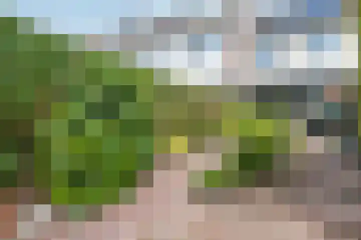Looijersdijk 51 Breukelen thumbnail 36