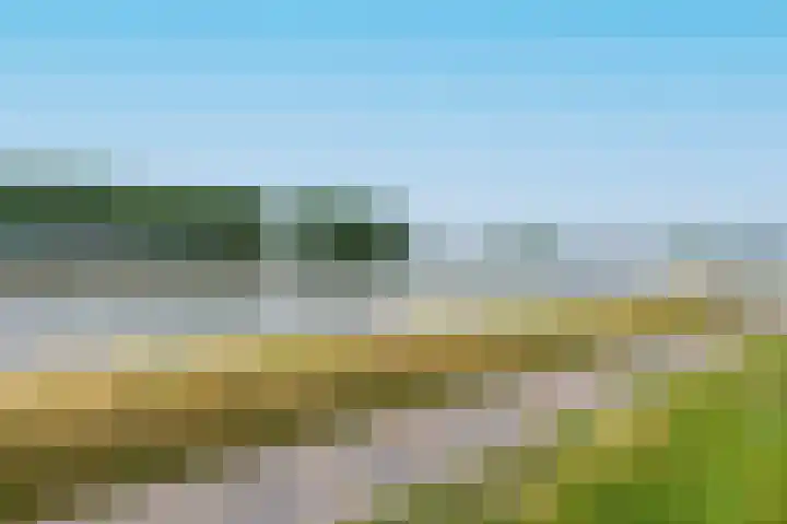 Looijersdijk 51 Breukelen thumbnail 41