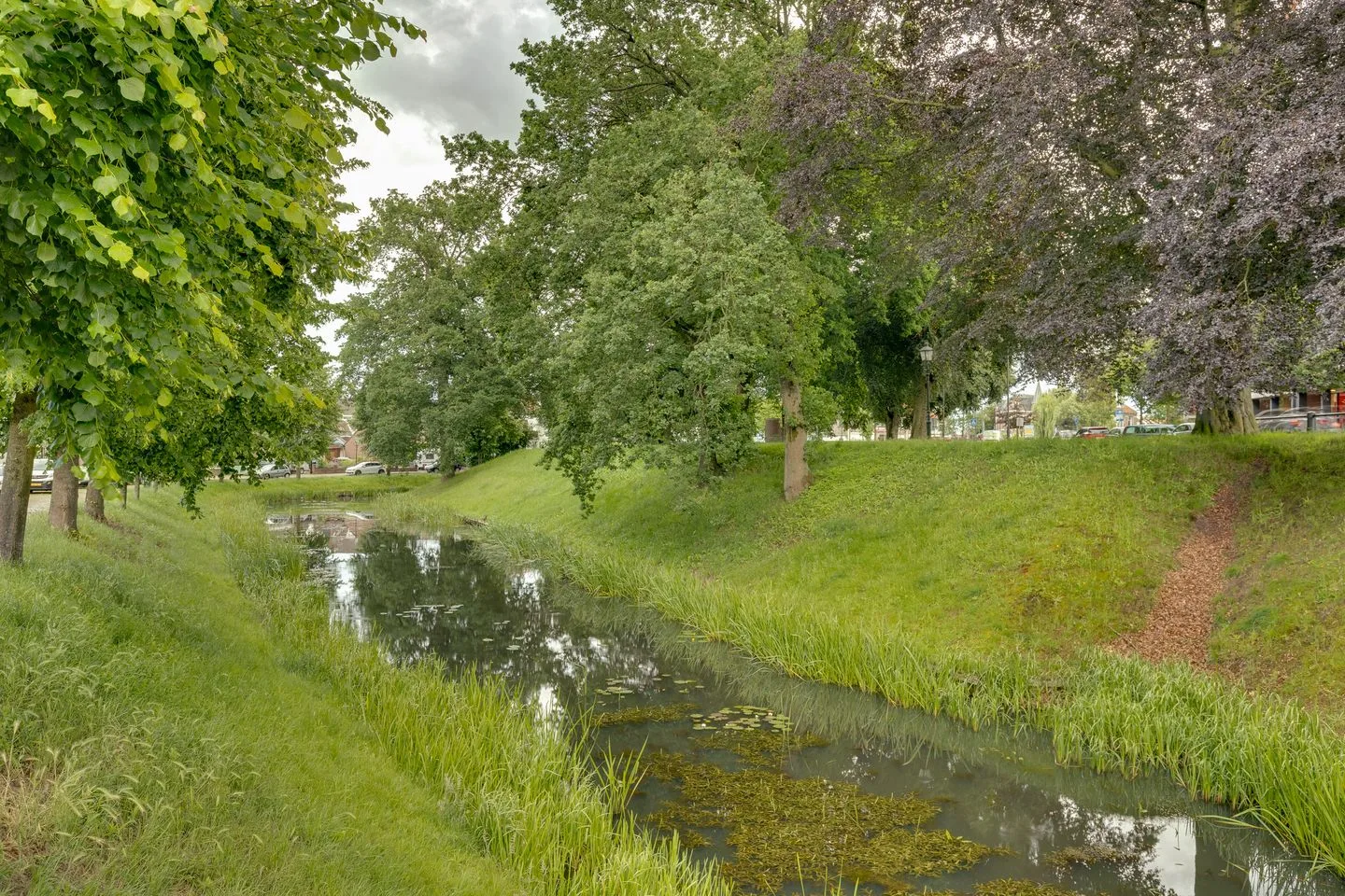 Looijersgracht 25 Steenwijk thumbnail 38