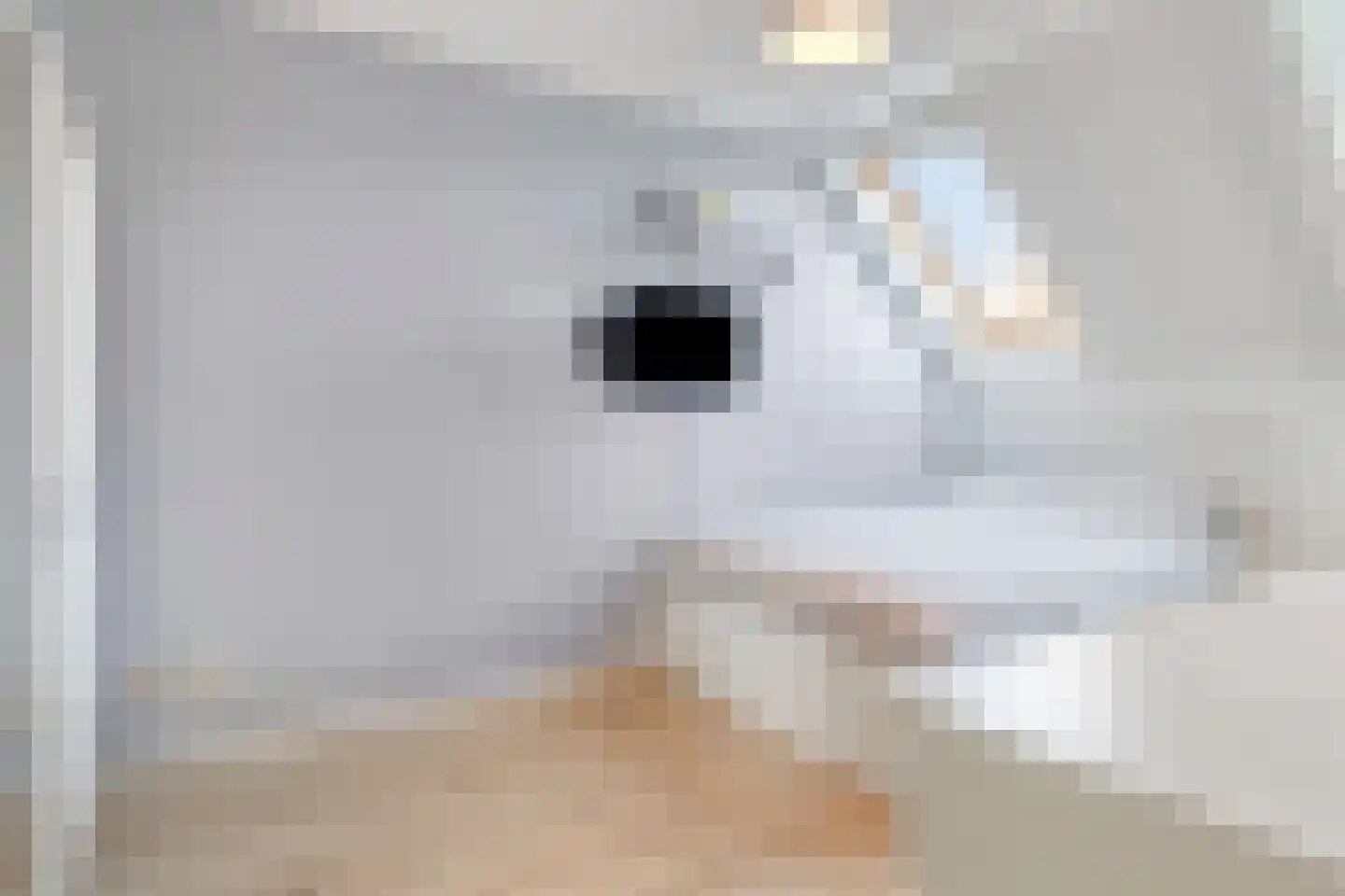 Looisehoeve 6 Helmond thumbnail 15