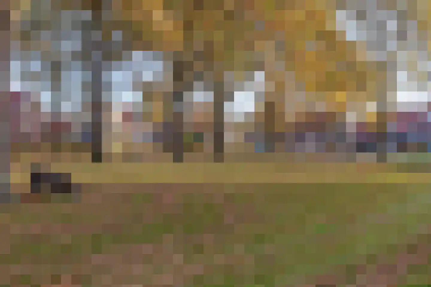 Looisehoeve 6 Helmond thumbnail 28