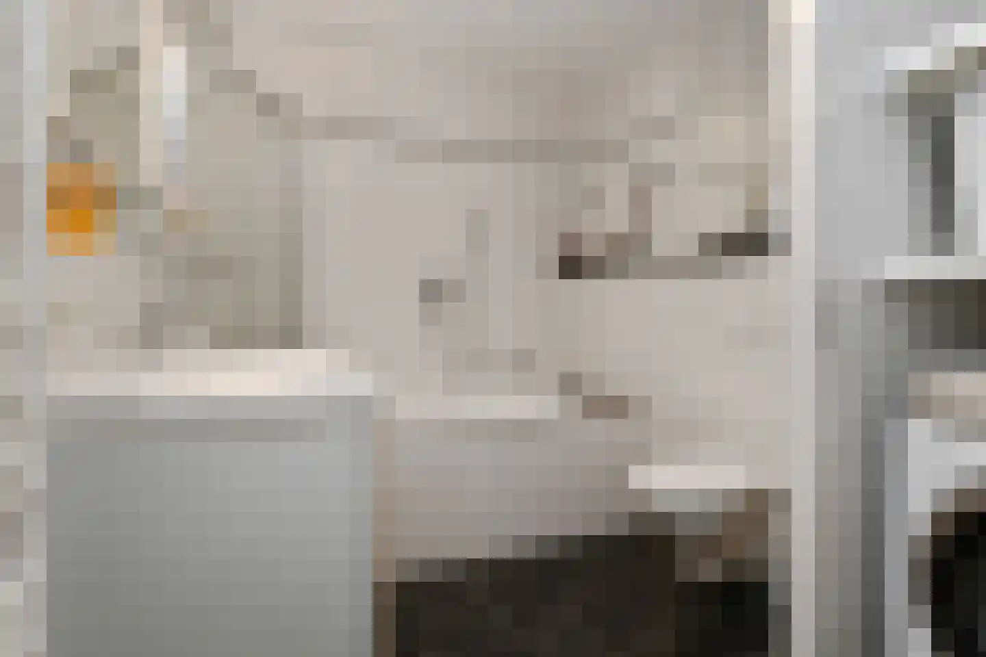 Looisehoeve 8 Helmond thumbnail 19