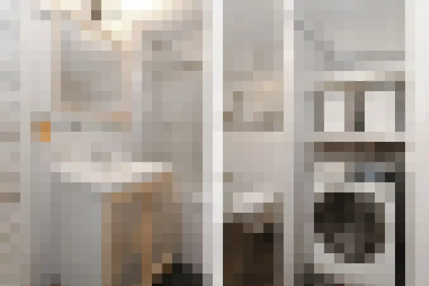 Looisehoeve 8 Helmond thumbnail 20